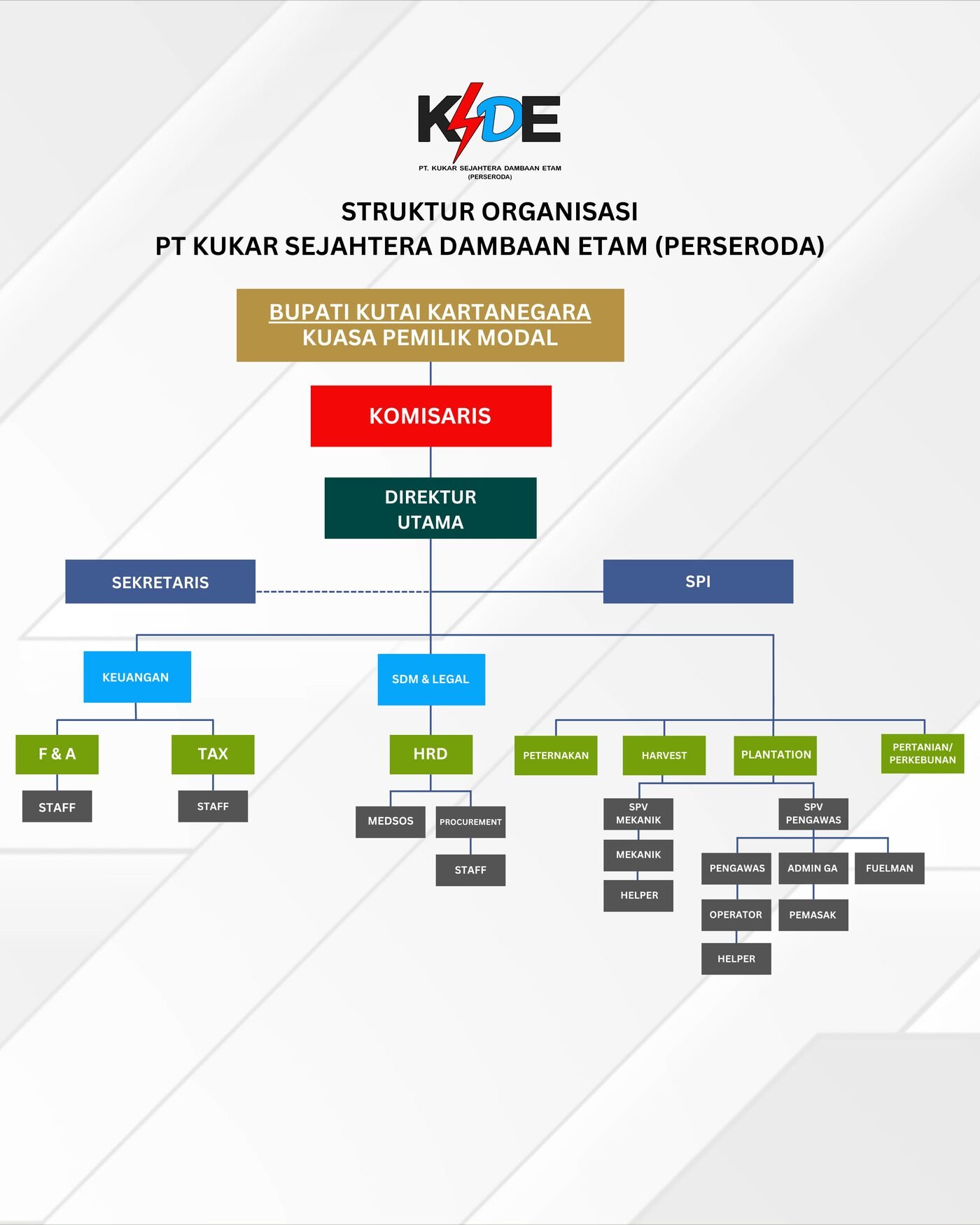 Struktur Organisasi PT KSDE Perseroda